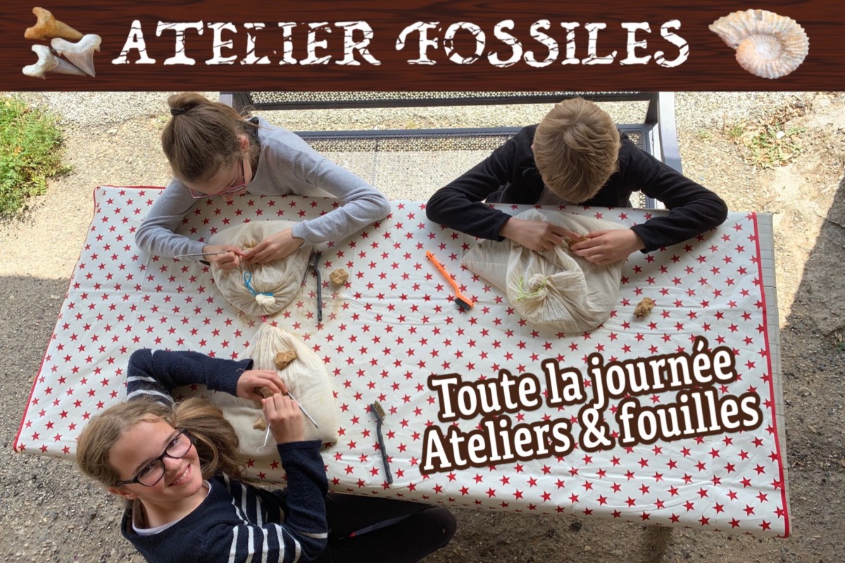 Grotte Aven Forestière atelier fossile enfants et parents