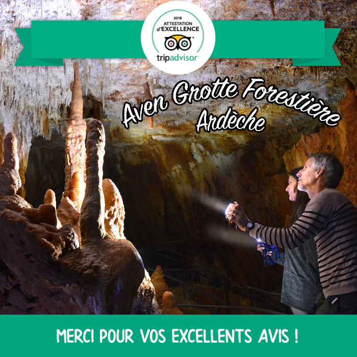Grotte forestière attestation excellence Trip advisor