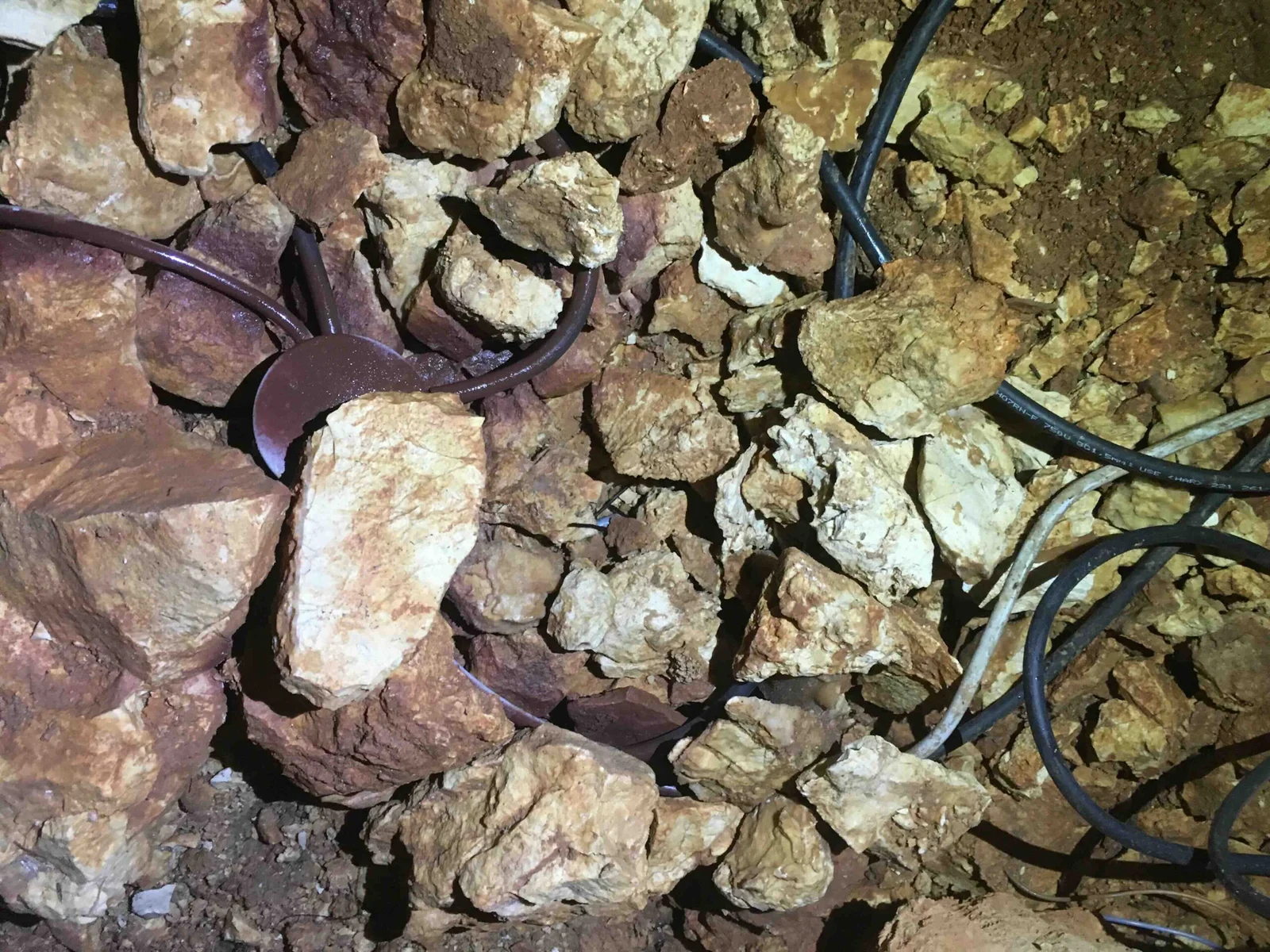 https://grotte-en-ardeche.com/wp-content/uploads/2025/03/Grotte-Forestiere-depollution-cables-5-scaled.jpg