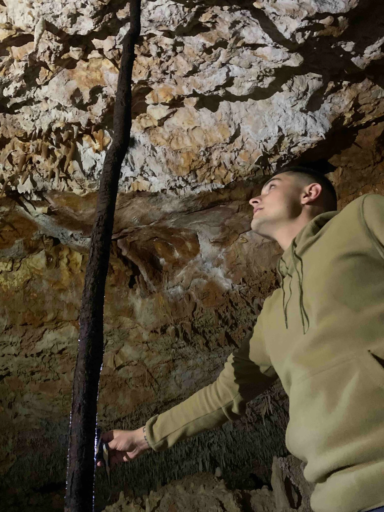 Racine d'Arbousier dans la Grotte Aven Forestière - Ardèche