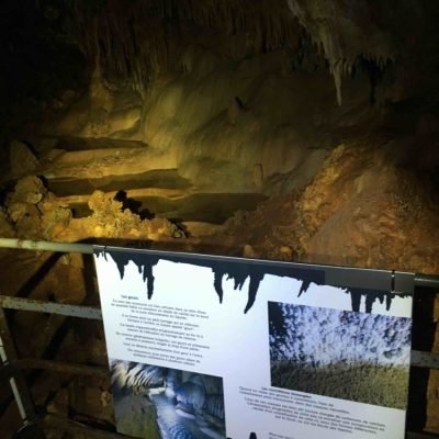Panneaux explicatifs grotte forestière