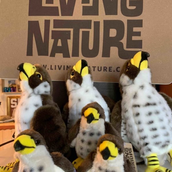 Peluches aigles