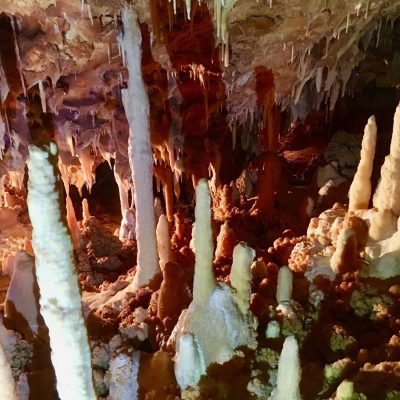 Forêt de stalagmites
