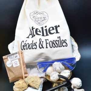 Atelier géodes et fossiles