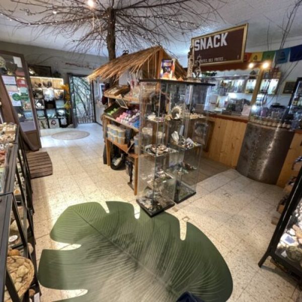 Grotte Forestière boutique