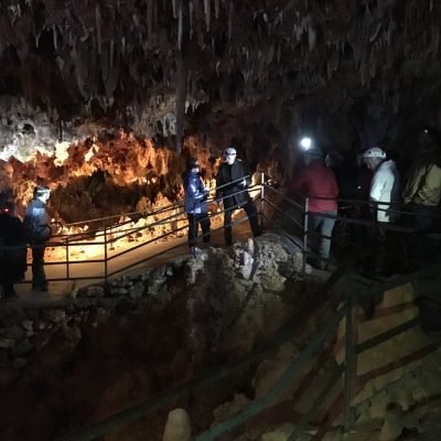 Visiteurs dans la grotte forestière