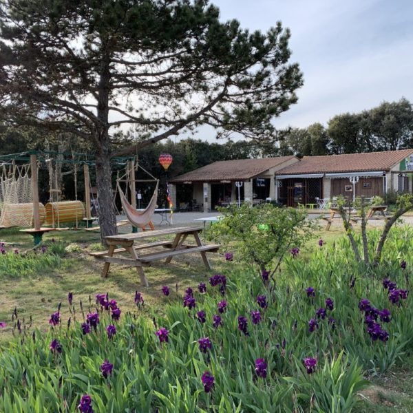 Accueil-Grotte-Aven-Forestiere-Iris-fleurs
