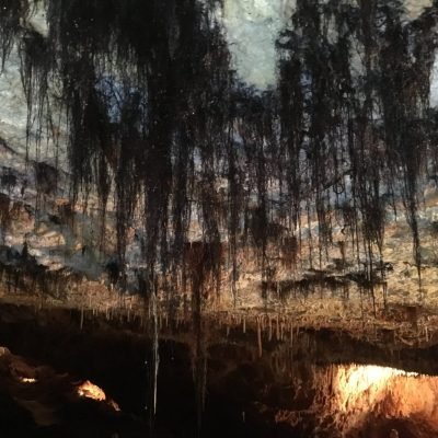 Grotte Aven Forestière système racinaire des arbres