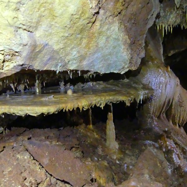 Grotte Aven Forestière plancher stalagmitique