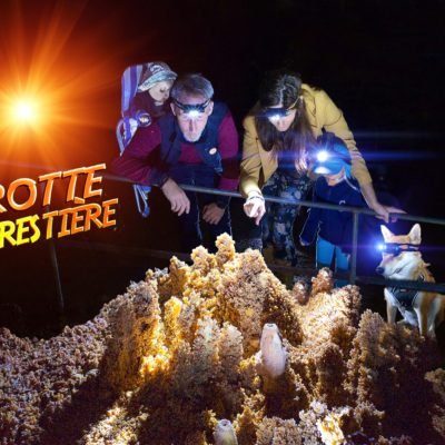 Site-Grotte forestière bébé+Enfant+chien 2020
